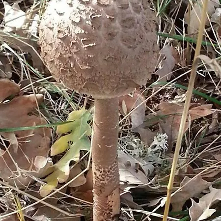 Séjour à la campagne Vallecino