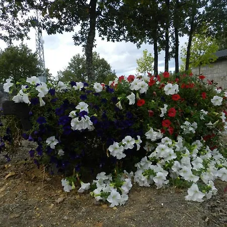 Country house Vallecino *