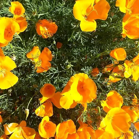 Country house Vallecino *