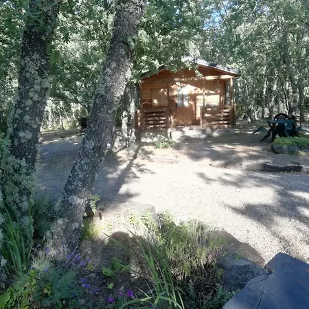 Vallecino Manzanal de los Infantes