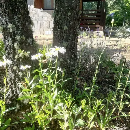 Vallecino Εξοχικό σπίτι *