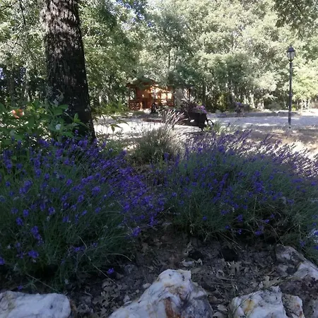 Country house Vallecino Manzanal de los Infantes