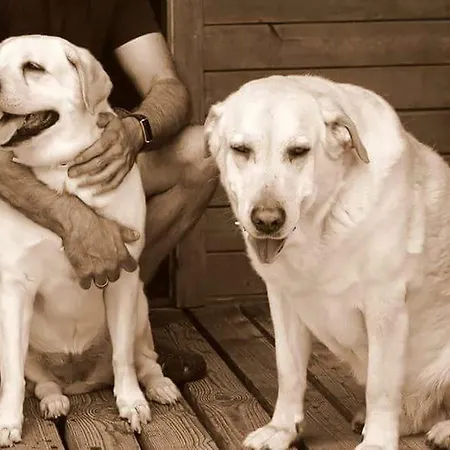 Casa di campagna Vallecino *