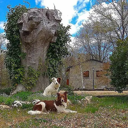 Vallecino * Manzanal de los Infantes