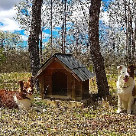 Vallecino Manzanal de los Infantes