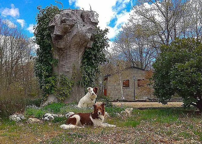 Vallecino * Manzanal de los Infantes