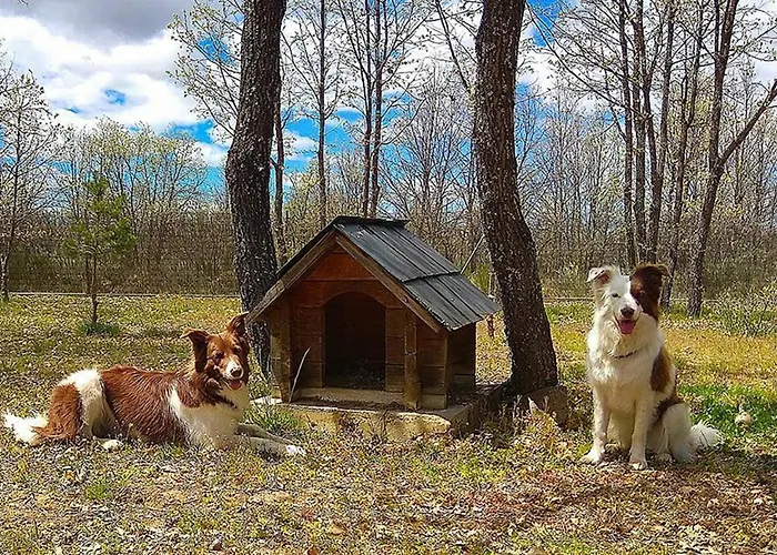 Vallecino Manzanal de los Infantes